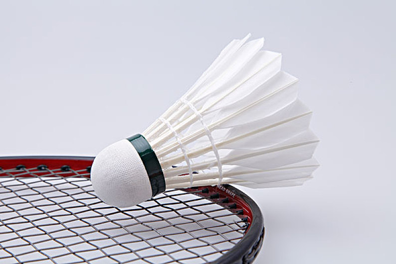 心的潜力 心的潜力