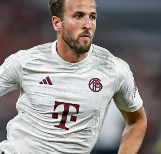 但它们却根 但它们却根